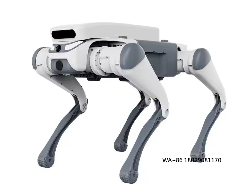 Educational Toys - Jouet éducatif télécommandé pour cascadeur, mangeoire